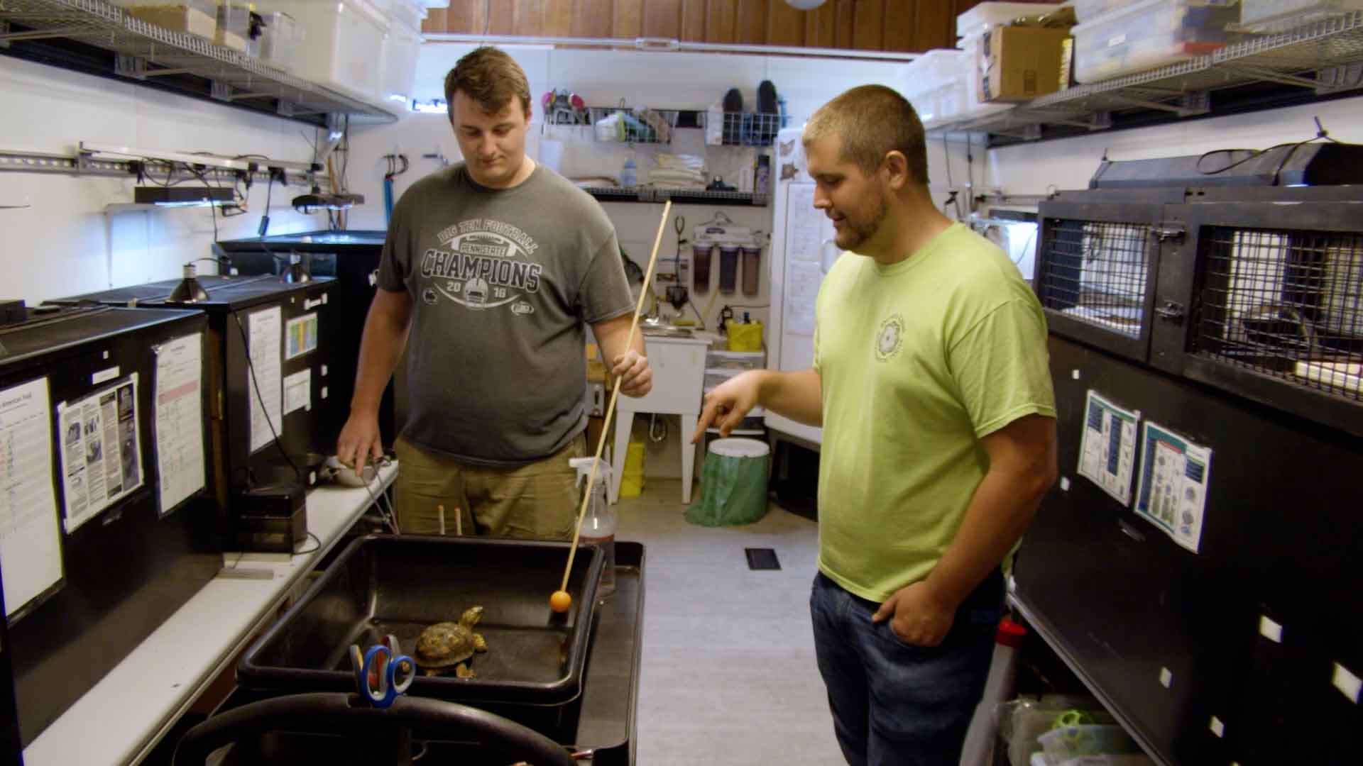 Animal ambassadors feeding turtle