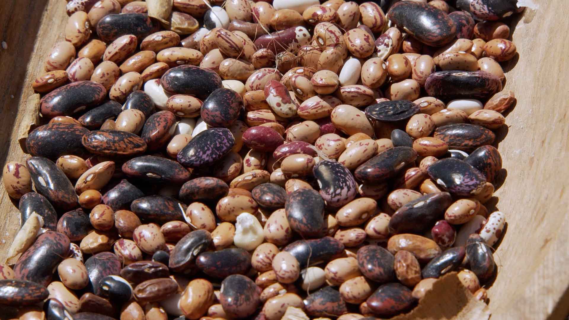 dried beans