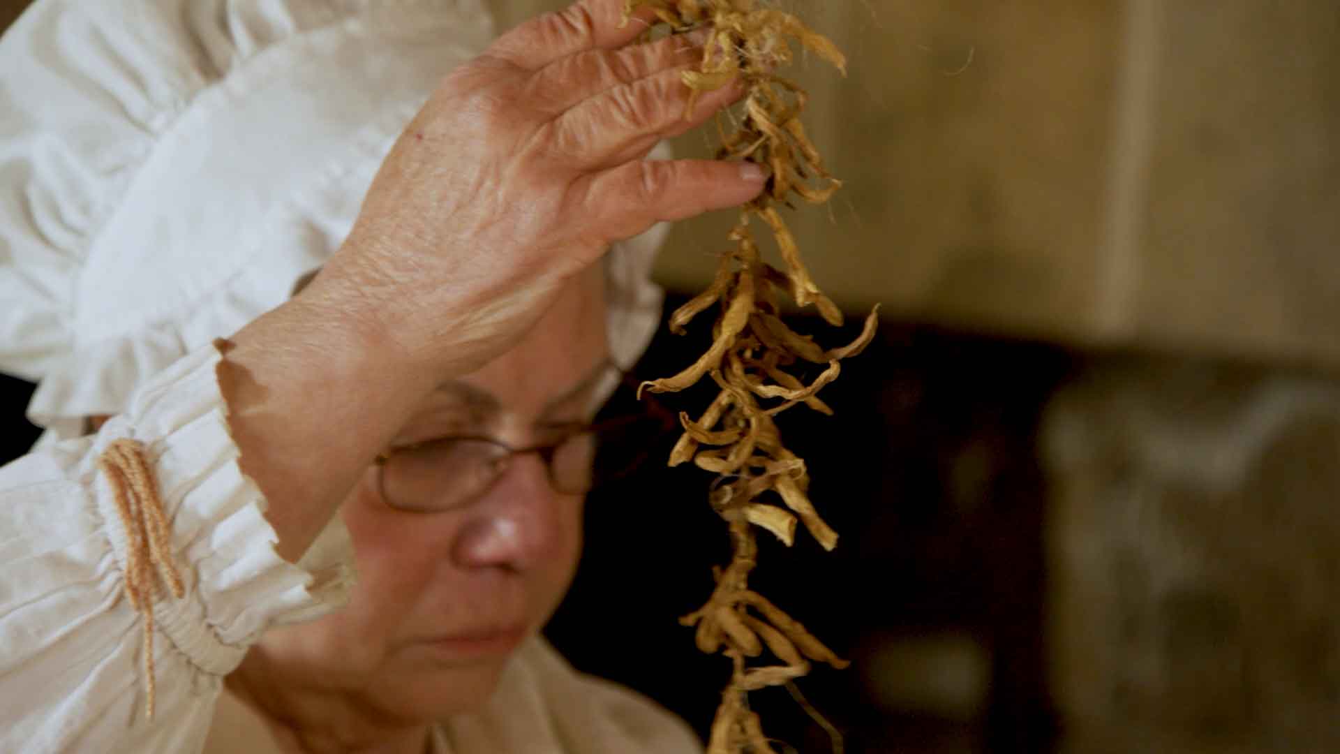 dried beans