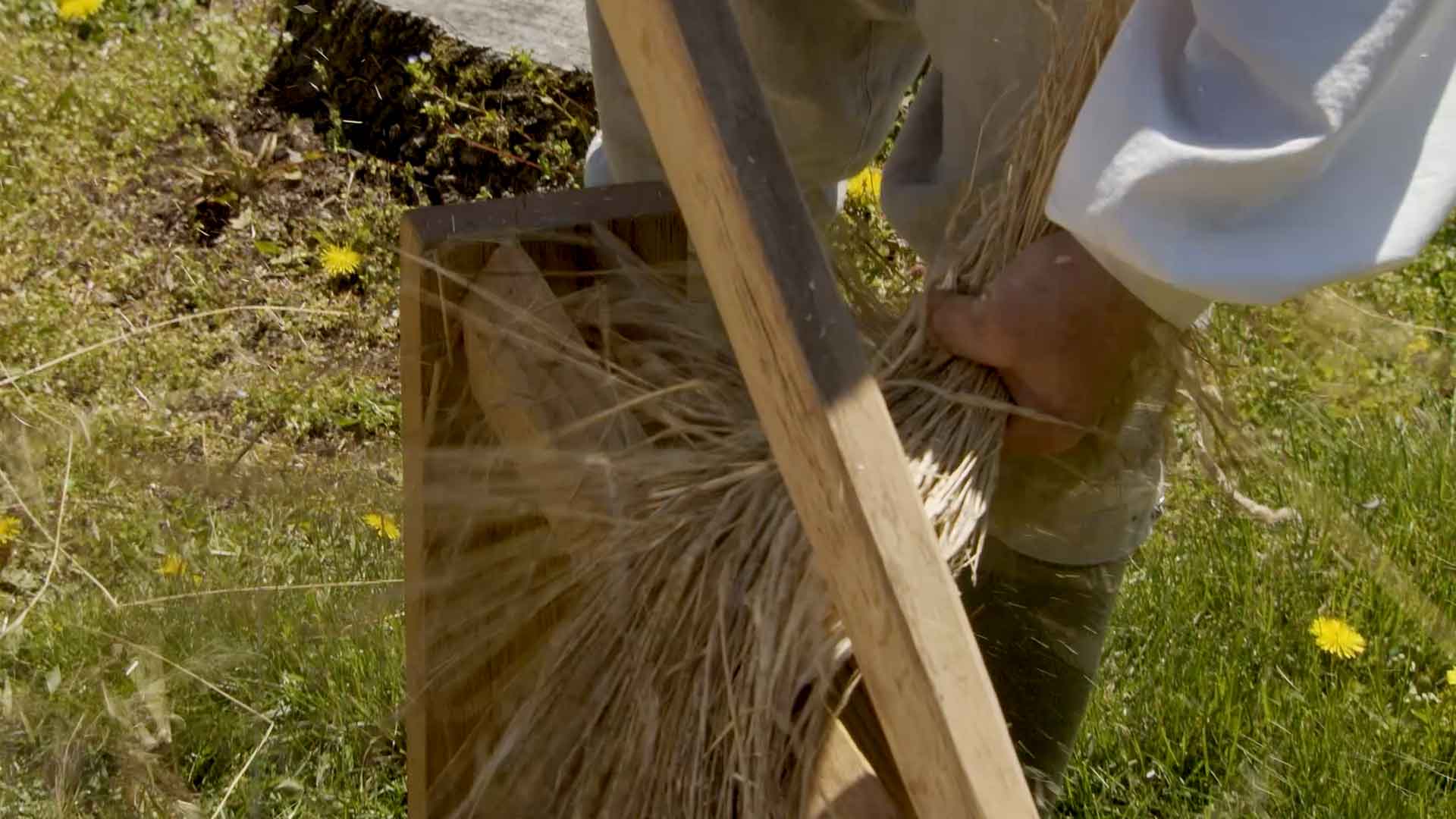 breaking flax