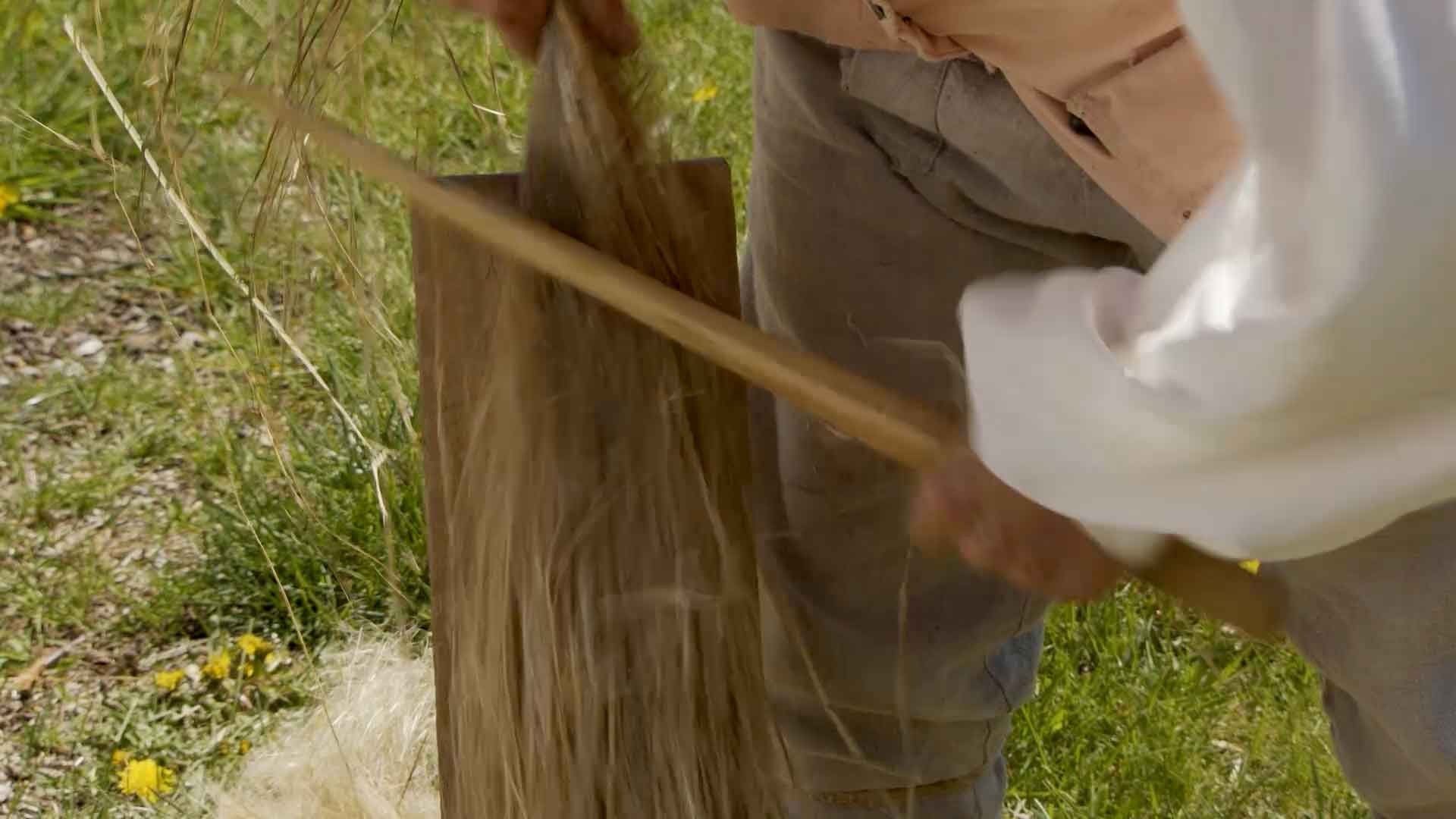 scutching flax