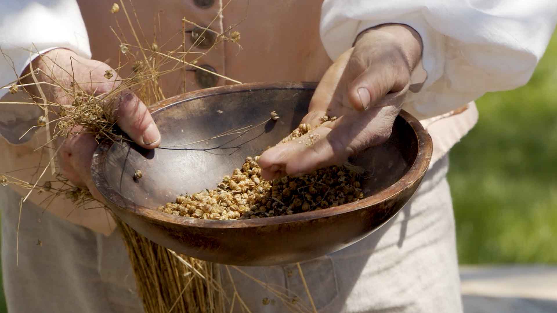 flax seeds