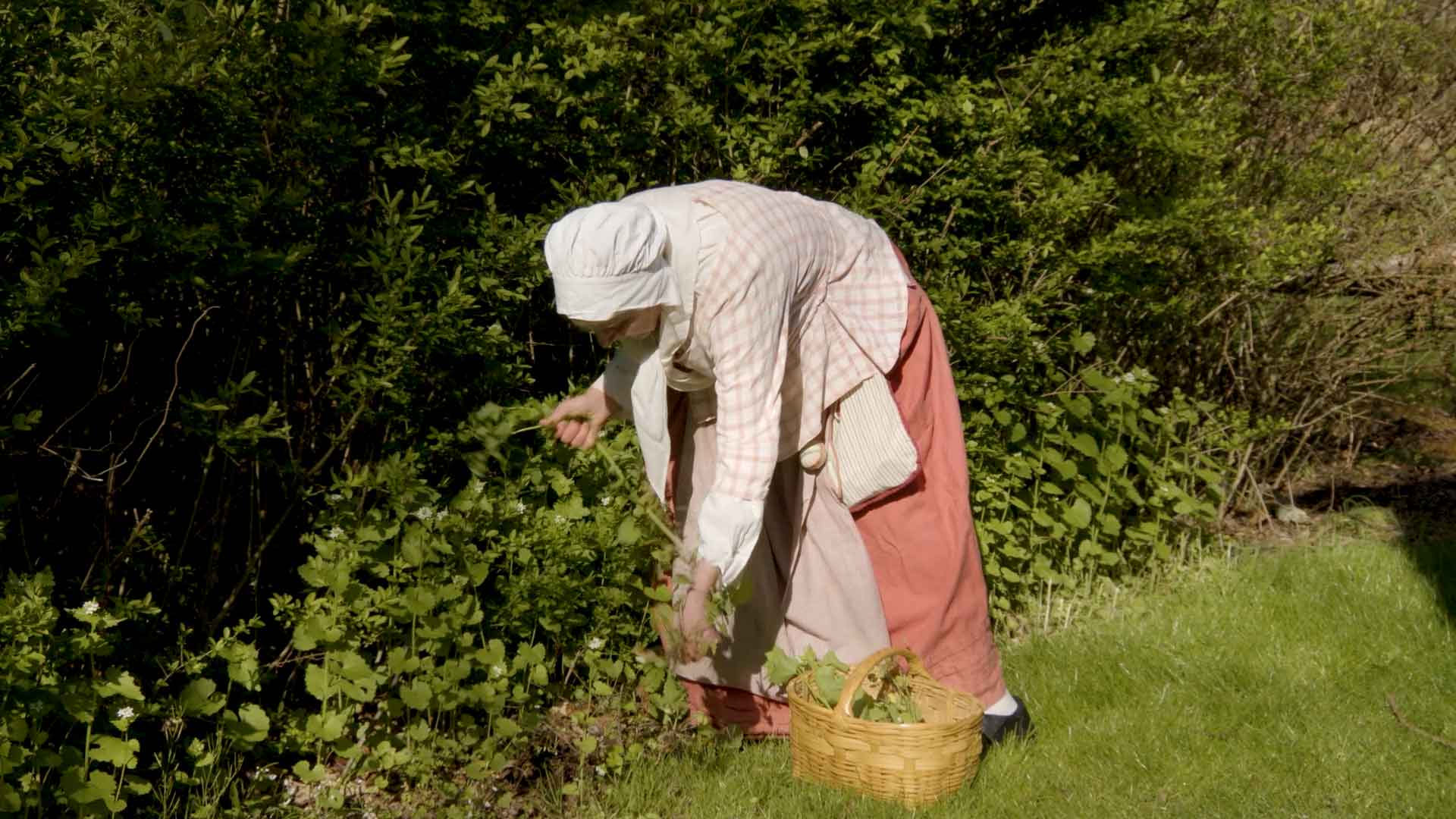 woman in colonial era clothing demonstrates how to forage for food