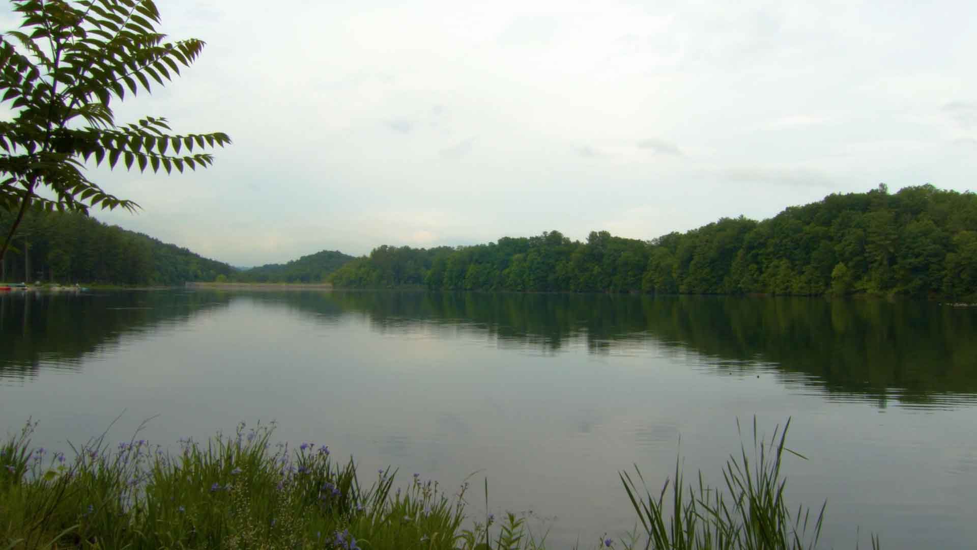 Lake Perez at Shaver's Creek