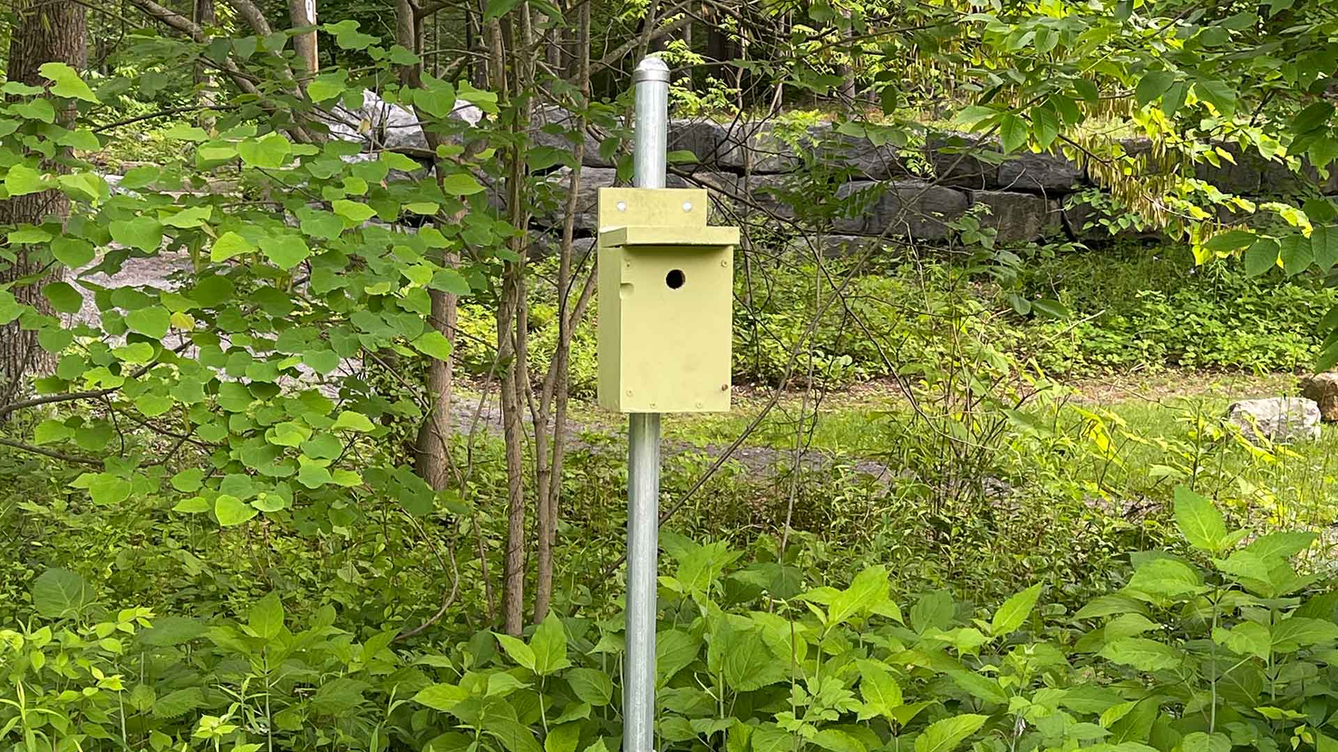 yellow rectangular birdhouse on a metal pole along a wooded trail