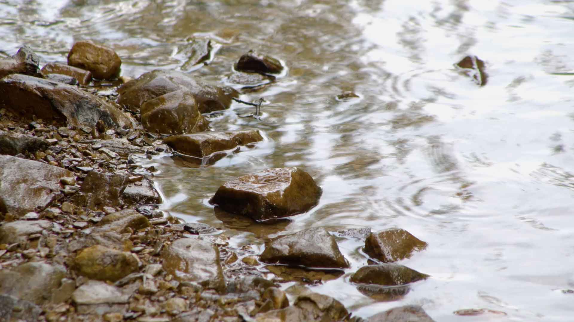 photo of rocks along the side of a creek