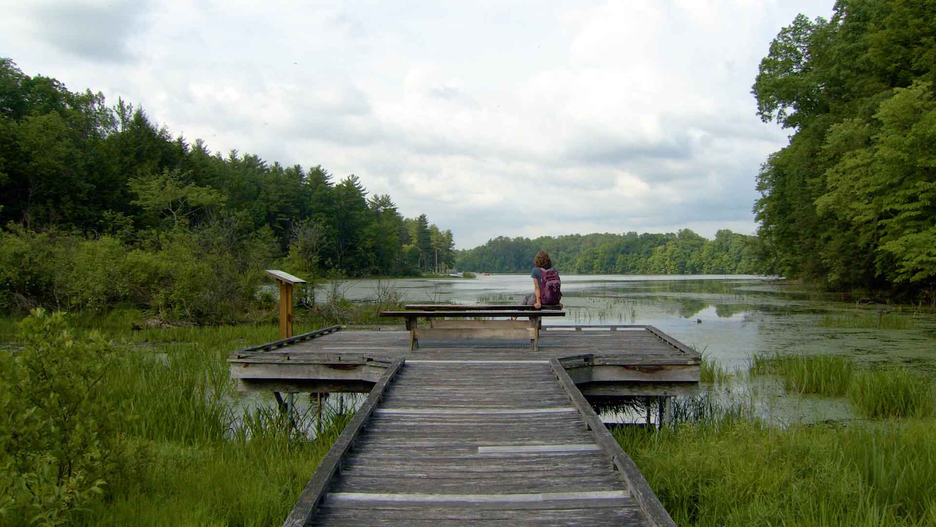 view of the lake at Shavers Creek from the boardwalk trail