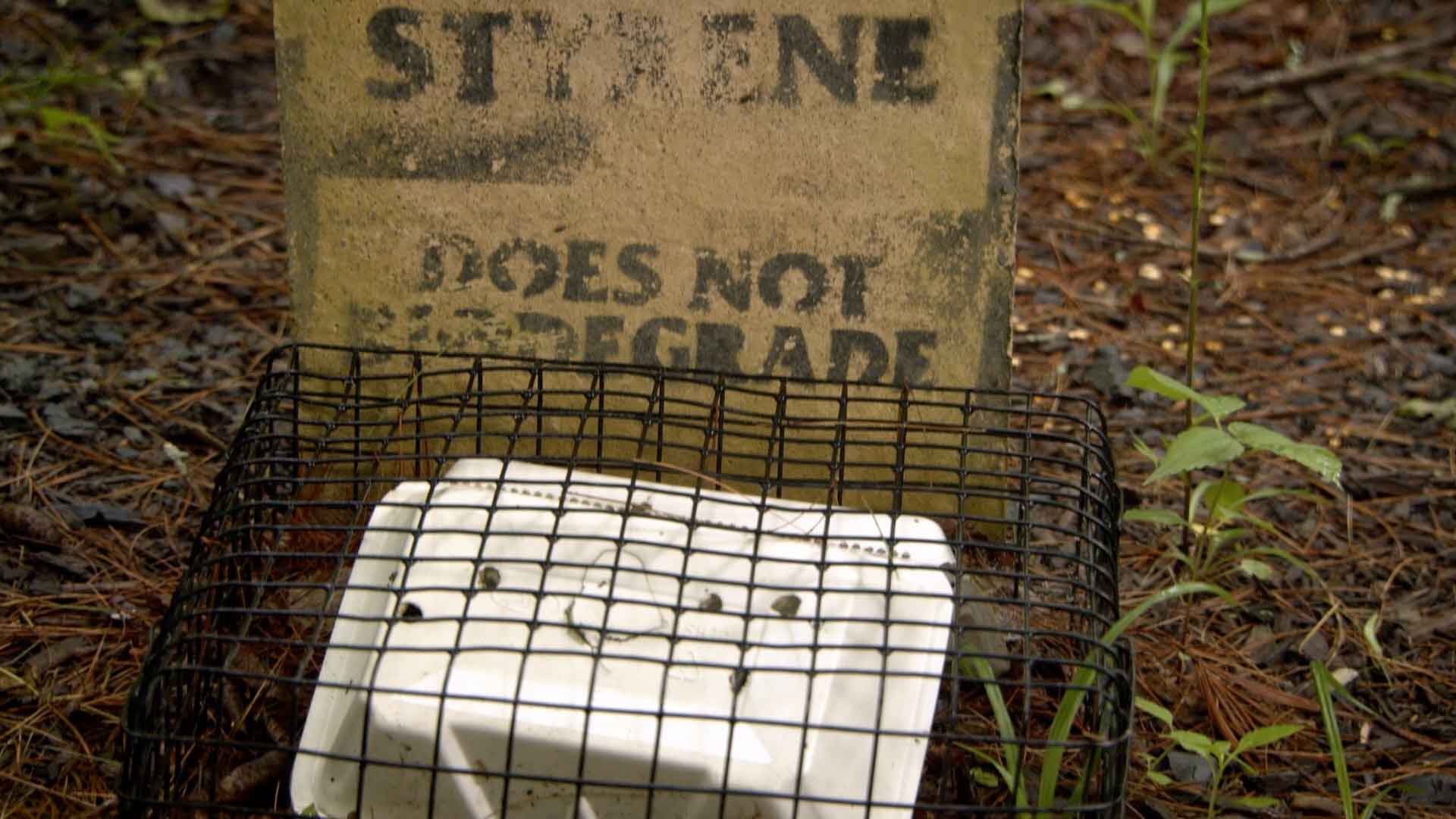mock tombstone reading styrofoam does not biodegrade