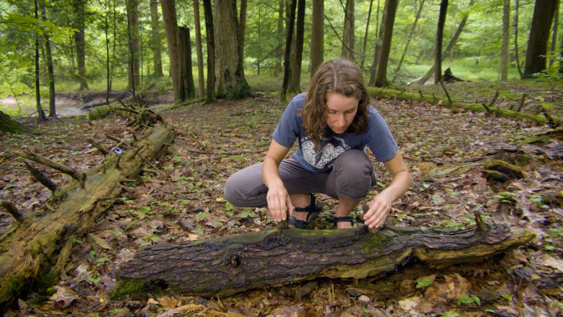 young woman turning over a log in the woods to look underneath