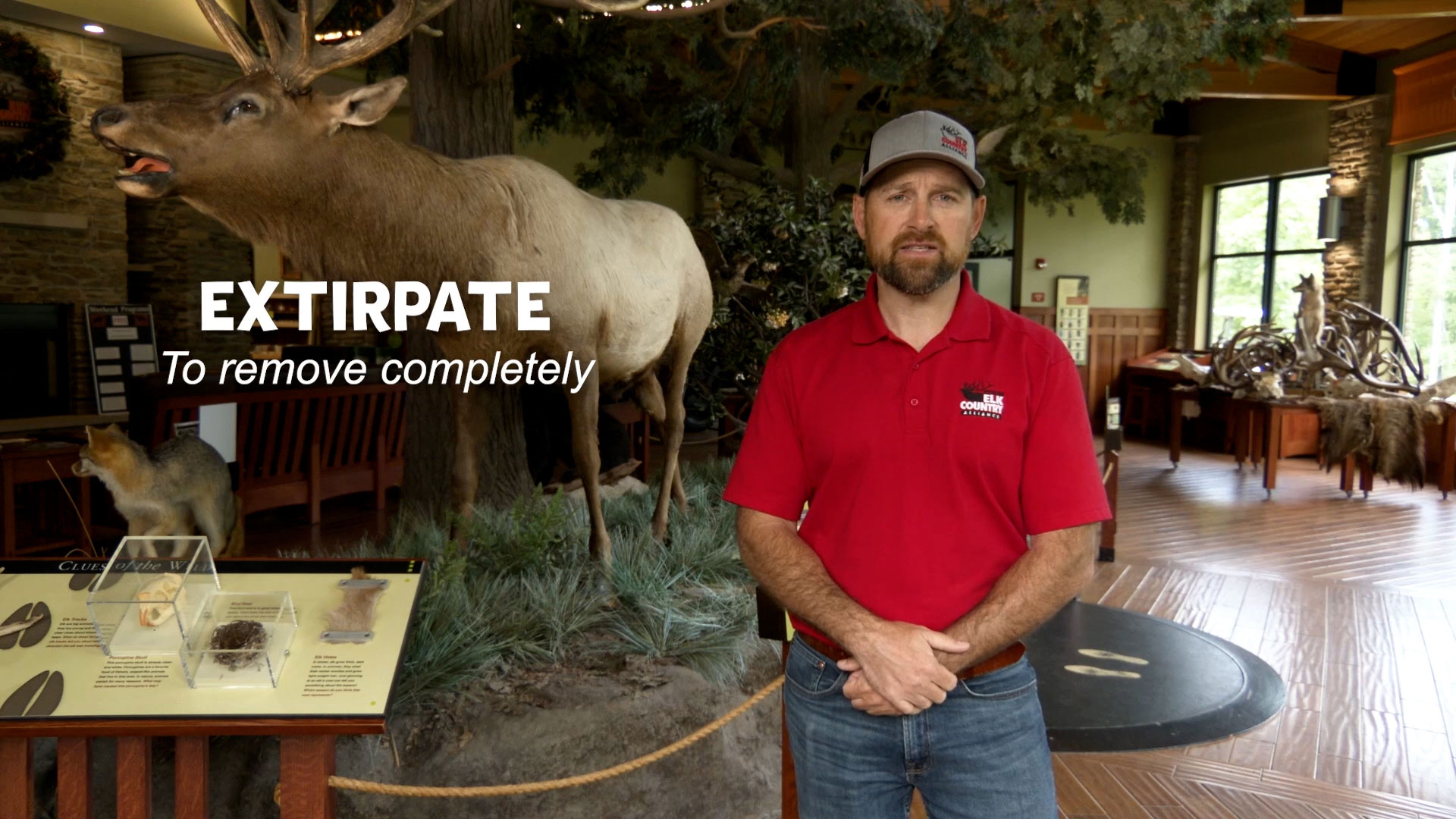 man standing in front of elk statue