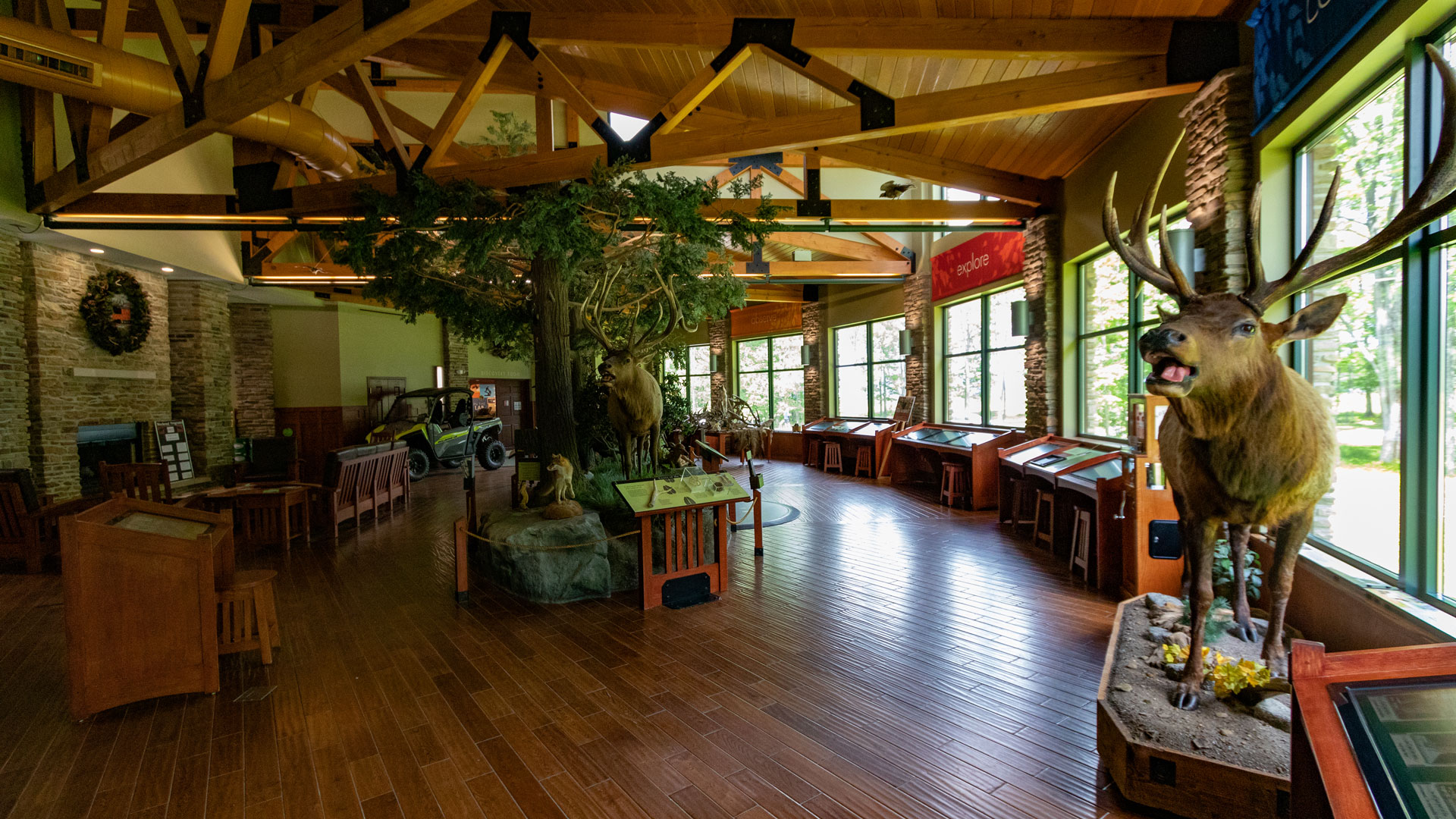 Elk Country main display room