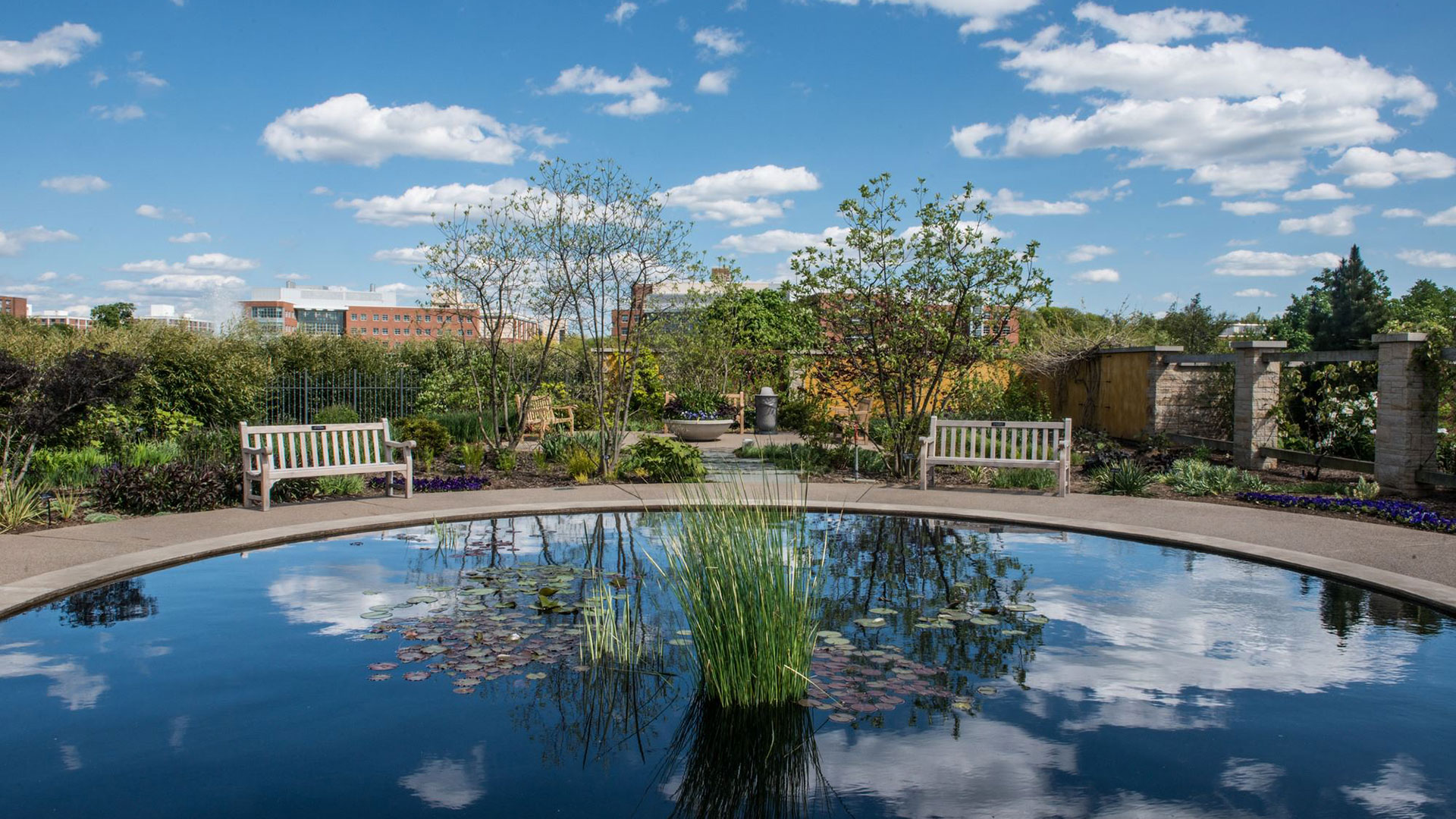 fountain surrounded by greenery under blue sky